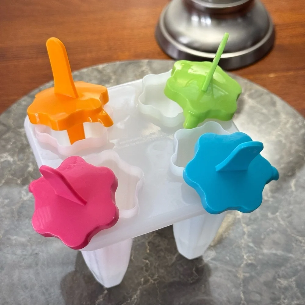Popsicle maker ice pop mold